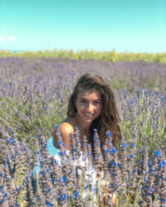 Pour beaucoup de voyageurs, les champs de lavandes sont un incontournable de Provence.