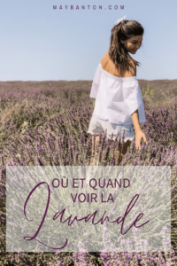 La lavande est aussi belle qu'éphémère, dans cet article je t'indique où et quand voir les plus beaux champs de lavande en Provence.