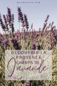 Dans ce post je te dis tout ce que tu dois savoir pour découvrir les champs de lavande en Provence: la meilleure exploration, la période pour y aller etc...