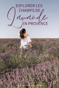 Les beaux champs de lavande parfumés sont très éphémères et certaines exploitations sont plus belles que d'autres. Dans ce post je t'indique tout ce que tu dois savoir pour découvrir les champs de lavande en Provence.
