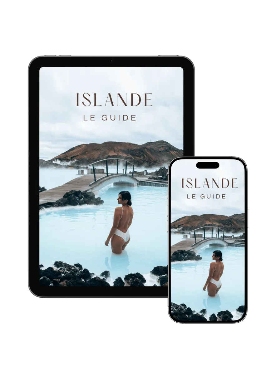 ISLANDE: LE GUIDE (eBook)