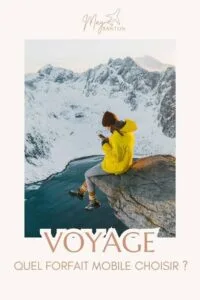 carte sim et forfait en voyage