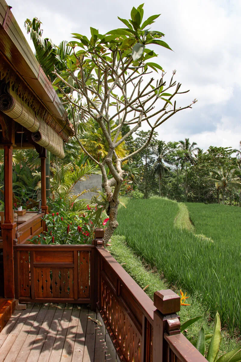 Hotel Ubud, Bali dans les rizières
