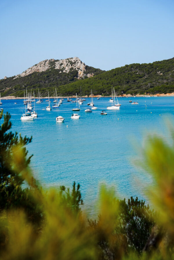 Visiter L'île De Porquerolles: Tout Ce Que Vous Devez Savoir ...