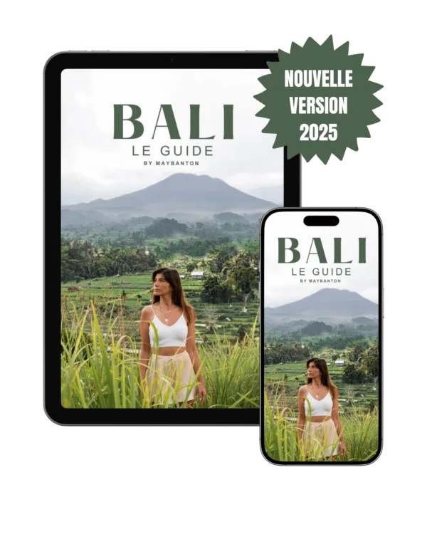 BALI: LE GUIDE (eBook)