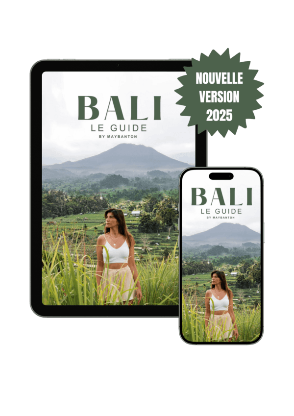 BALI: LE GUIDE (eBook)