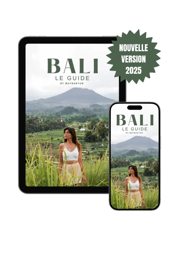 BALI: LE GUIDE (eBook)