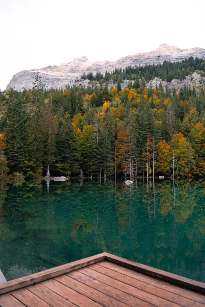 belle vue sur le lac vert de chamonix
