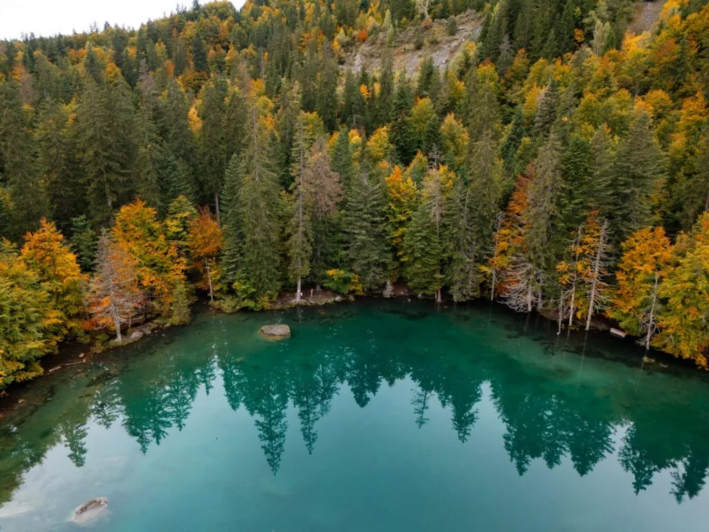 vue panoramique sur le lac vert chamonix